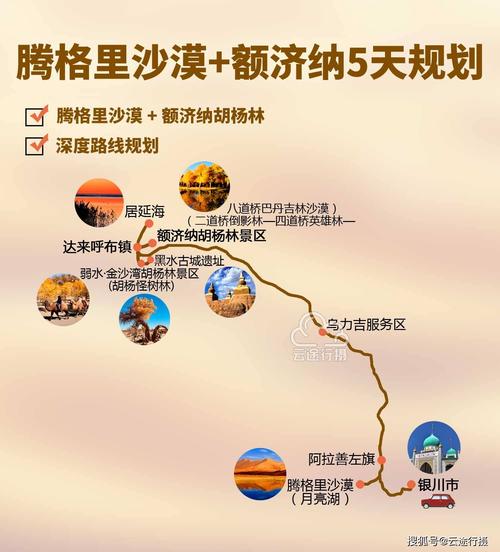 胡杨林自驾游旅游攻略-胡杨林自驾游旅游攻略路线