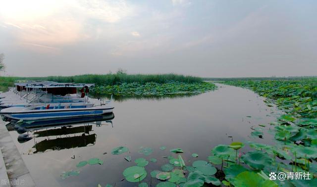 衡水湖旅游景点_衡水湖旅游景点电话