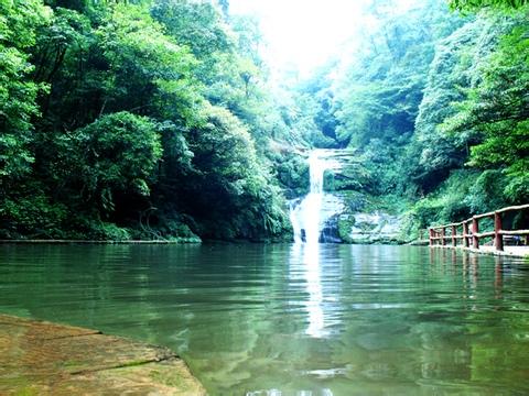 雅安碧峰峡门票多少钱一张-雅安碧峰峡门票多少钱一张啊