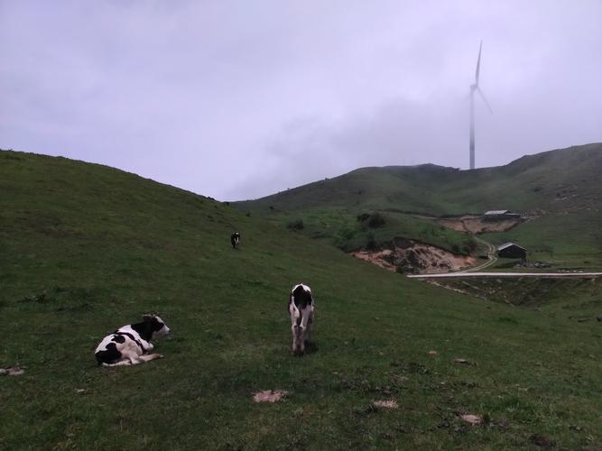 城步南山牧场旅游攻略-城步南山牧场旅游攻略哪些景点