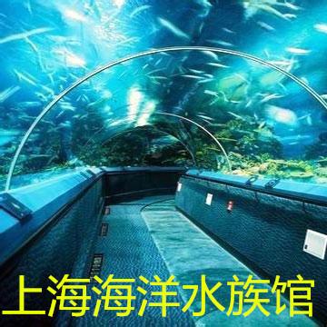 海洋水族馆门票多少钱-上海海洋水族馆门票多少钱