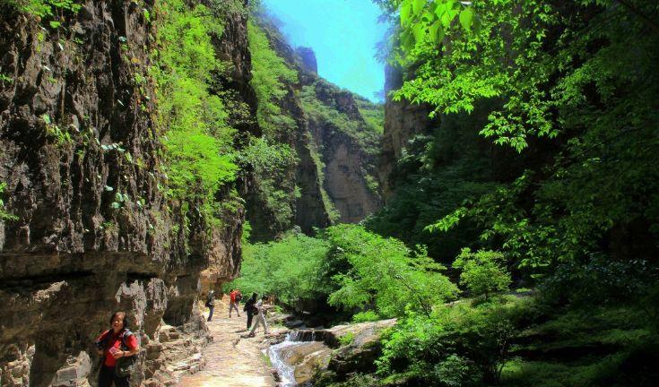 野山坡怎么游玩攻略-野山坡游玩攻略有哪些